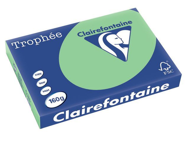 Clairefontaine Papier CF A3 160g 1119 nat.groen/ds4x250 (doos 4 x 250 vel)
