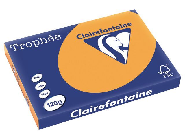 Clairefontaine Trophu00e9e 120 g/mu00b2 getint papier - A3 - 250 vel(len) (doos 5 x 250 vel)