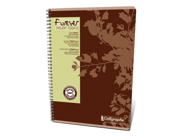 Schrift Forever A4 reycl ruit 90p/pk5